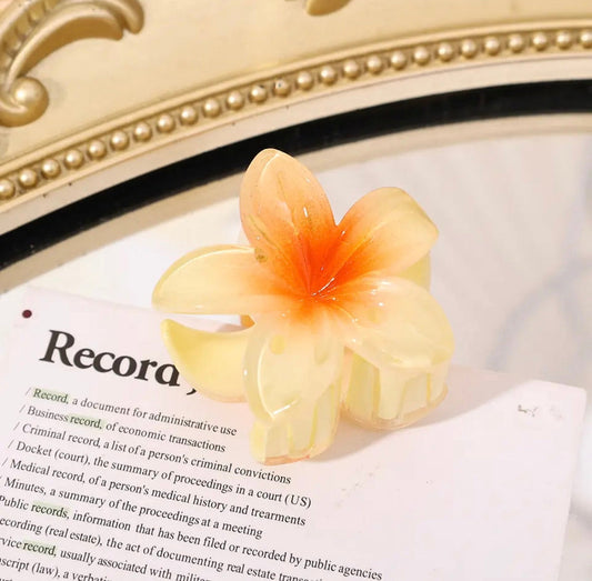 Zayana - Fleurige bloemenclips