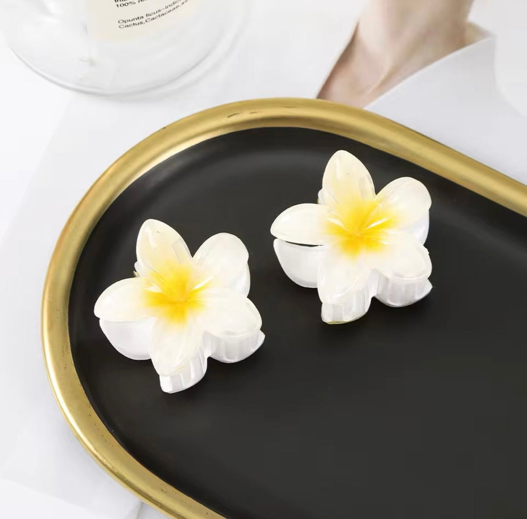 Zayana - Fleurige bloemenclips
